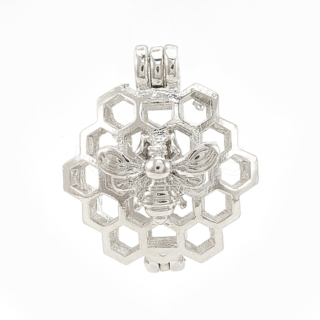 Alloy Locket Pendants PALLOY-S062-55P-1