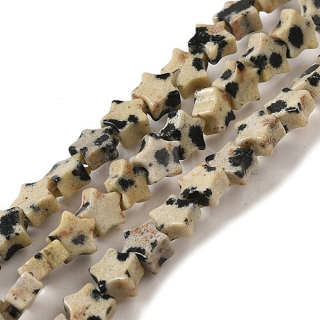 Natural Dalmatian Jasper Beads Strands G-G085-B13-01-1