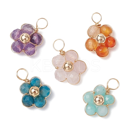 5Pcs 5 Styles Natural Amazonite & Apatite & Rose Quartz & Amethyst & Red Agate Faceted Round Beaded Pendants PALLOY-JF03606-01-S-1