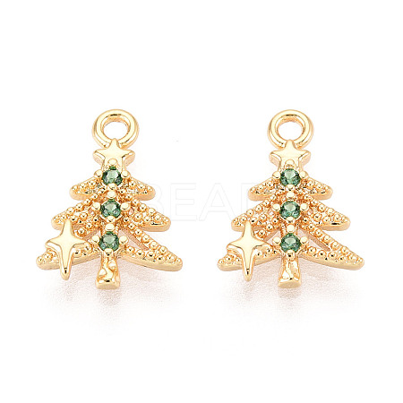 Brass Micro Pave Cubic Zirconia Charms KK-N263-145B-G-1