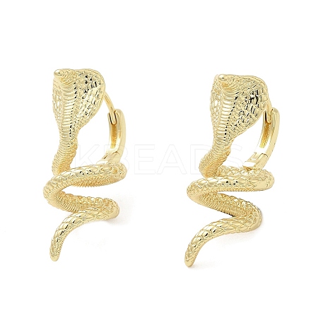 Rack Plating Brass Hoop Earrings EJEW-F324-05G-1