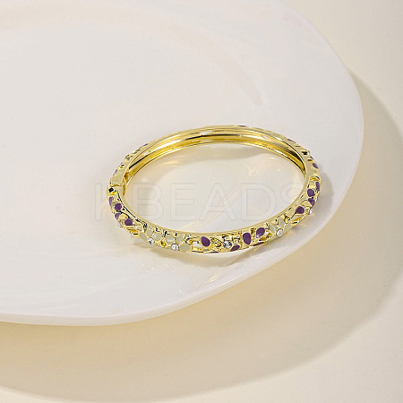 Fashionable Casual Retro Alloy Enamel Hinged Bangles for Women DG9304-1-1
