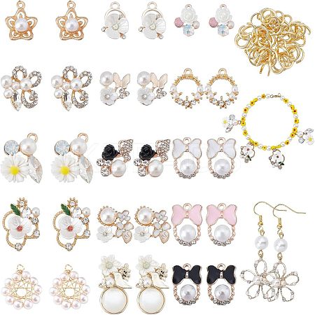 DIY Jewelry Making Finding Kit FIND-FH0003-91-1