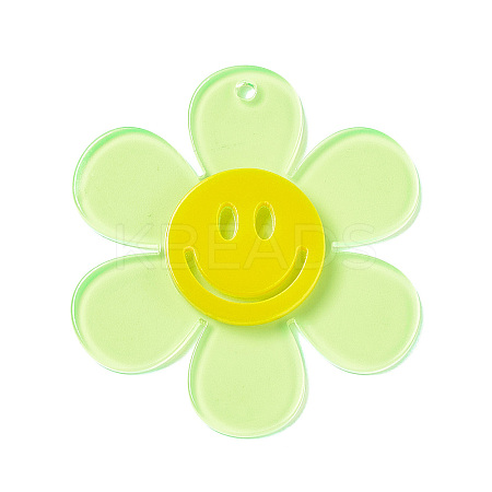 Transparent Acrylic Big Pendants LS-OACR-P012-A04-1