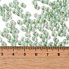 6/0 Transparent Inside Colours Glass Seed Beads SEED-P006-01A-03-4