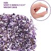 Natural Amethyst Chips Beads G-GA0001-19-2