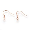 304 Stainless Steel Earrings Hooks STAS-P227-06RG-2