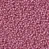 MIYUKI Round Rocailles Beads SEED-JP0009-RR0556-4