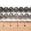 Natural Labradorite Beads Strands G-G448-7.5mm-04-5