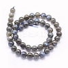 Natural Labradorite Beads Strands G-O166-08-8mm-2