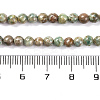 Natural Maifanite/Maifan Stone Beads Strands G-P451-01C-E-3