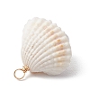 Natural Clam Shell Pendants PALLOY-JF03551-5