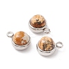 Natural Picture Jasper Charms G-K325-01P-06-1