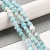 Natural Dolomite Beads Strands G-F765-H07-01-2