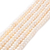Natural Cultured Freshwater Pearl Beads Strands PEAR-I007-02D-02-2