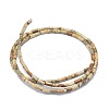 Natural Picture Jasper Beads Strands G-F631-B10-2