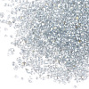 Plated Glass Seed Beads SEED-S016-03-3