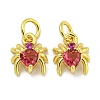 Rack Plating Brass Micro Pave Cubic Zirconia Spider Charms ZIRC-I065-02A-1