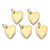 316 Surgical Stainless Steel Charms STAS-N097-021-1