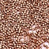 FGB 11/0 Grade A Glass Seed Beads X-SEED-S030-1201-2