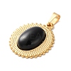 Natural Black Onyx(Dyed & Heated) Pendants STAS-C120-13G-05-2