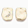 Alloy Charms PALLOY-S135-019-NR-2