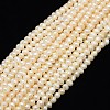 Natural Cultured Freshwater Pearl Beads Strands LS-PEAR-L001-C-14-1