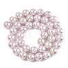 Electroplated Shell Pearl Beads Strands BSHE-G041-10mm-06-4