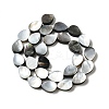 Natural Black Lip Shell Beads Strands BSHE-D300-04B-2