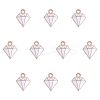 Alloy Enamel Charms ENAM-SZ0003-02A-1