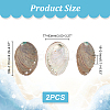 Natural Abalone Shell Display Decoration DJEW-WH0015-105-2