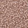 TOHO Round Seed Beads SEED-TR11-1069-2