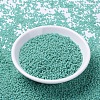 MIYUKI Round Rocailles Beads SEED-X0054-RR4475-2