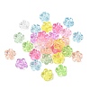 Transparent Acrylic Beads TACR-C002-01F-1