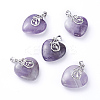 Natural Amethyst Pendants G-G807-C04-1