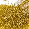 TOHO 11/0 Round Beads X-SEED-TR11-0302-1