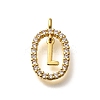 Brass Micro Pave Cubic Zirconia Pendants ZIRC-P123-01G-L01-1