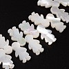 Natural Shell Beads BSHE-O015-13-1