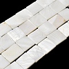 Natural Freshwater Shell Beads Strands SHEL-A006-10B-1