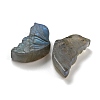 Natural Labradorite Carved Cabochons G-C152-03A-2