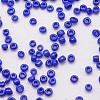 6/0 Glass Seed Beads X-SEED-J014-F6-48-3