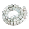 Dyed Natural White Jade Beads Strands G-T138-S20-2