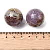 Natural Amethyst Lace Agate Beads G-A282-01-3