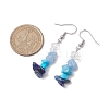 Natural Mixed Stone & Synthetic Turquoise Dangle Earrings EJEW-JE06030-3