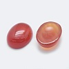 Natural Carnelian Cabochons G-G759-Z16-2