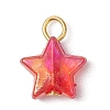 Transparent Acrylic Pendants PALLOY-JF03549-3