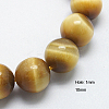 Natural Yellow Tiger Eye Beads Strands G-G212-10mm-18-1