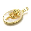 Brass Pave Shell Birth Flower Pendants FIND-I040-04D-2
