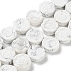 Natural Howlite Beads Strands G-B065-B15-1