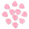 Autumn Theme Transparent Frosted Acrylic Pendants PAF002Y-10-2